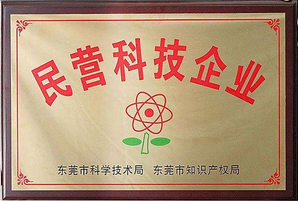 东莞民营企业